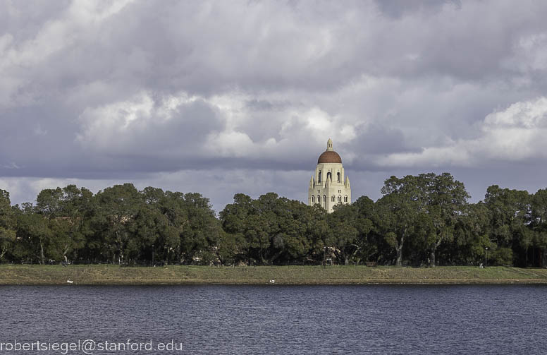 lagunita